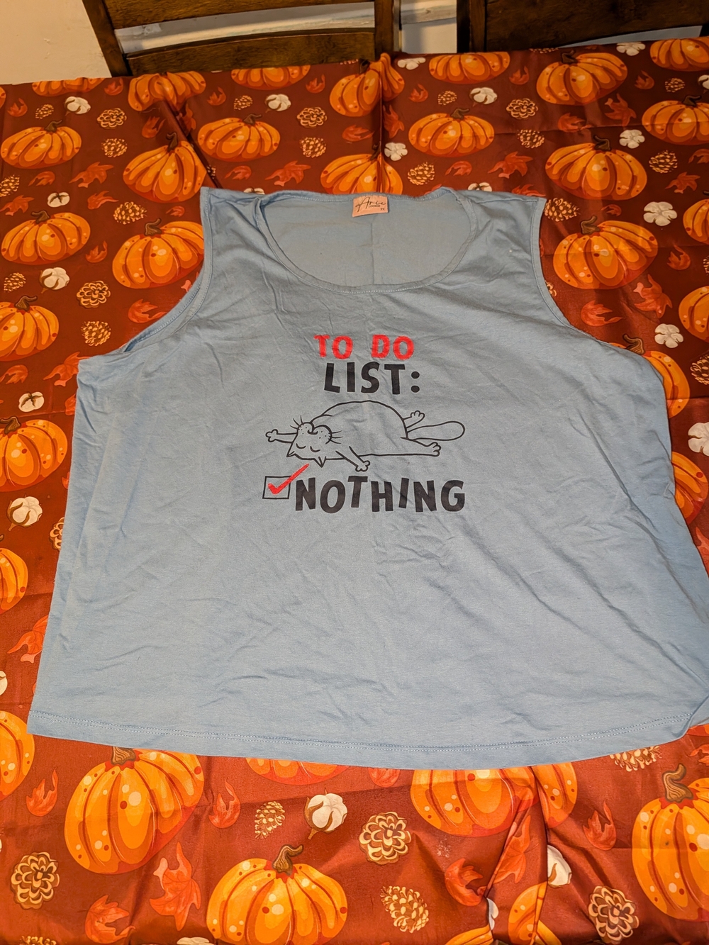 Light Blue Graphic Tank Top - Relaxed 'To Do List: Nothing'